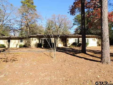 823 E Goode, Quitman, TX 75783 photo 29