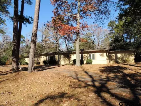 823 E Goode, Quitman, TX 75783 photo 2