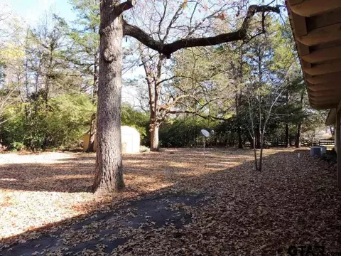823 E Goode, Quitman, TX 75783 photo 21