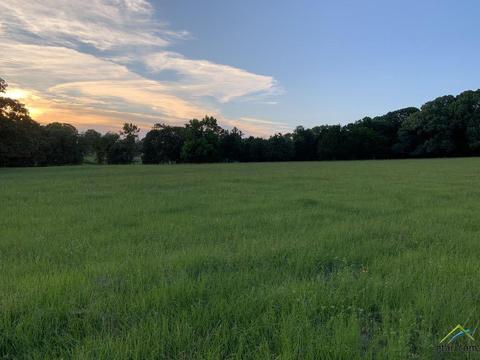 13167 Cr 420, Tyler, TX 75704