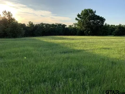 13167 Cr 420, Tyler, TX 75704