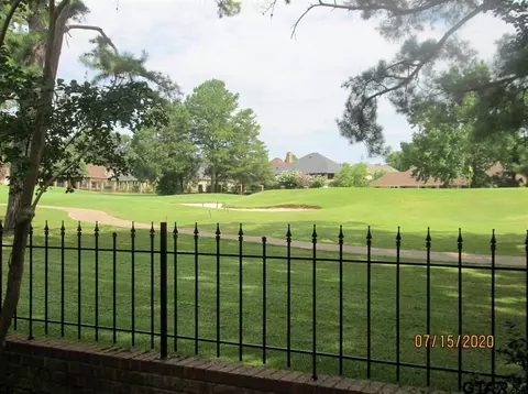 1411 Hollytree Pl, Tyler, TX 75703 photo 28