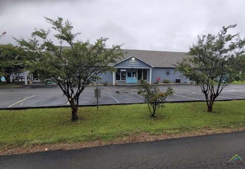 289 Apache, Quitman, TX 75783 photo 3