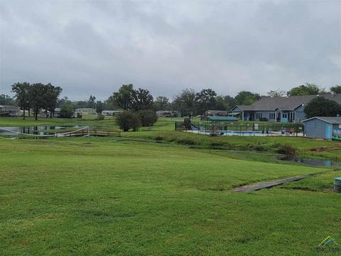 289 Apache, Quitman, TX 75783 photo 4