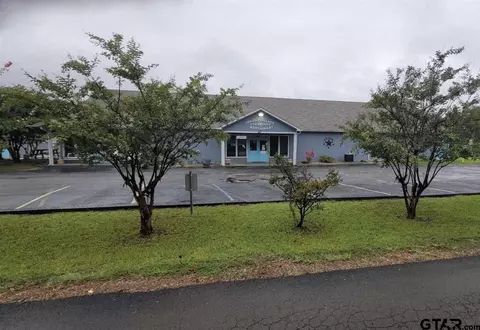 289 Apache, Quitman, TX 75783 photo 3