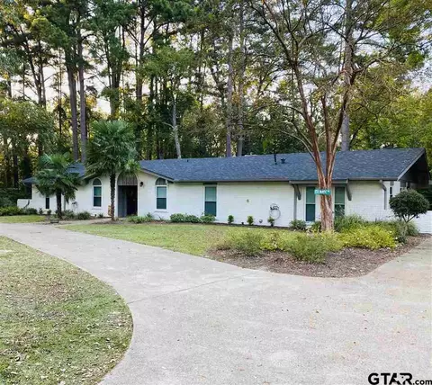 505 Lance Rd, Quitman, TX 75783 photo 3