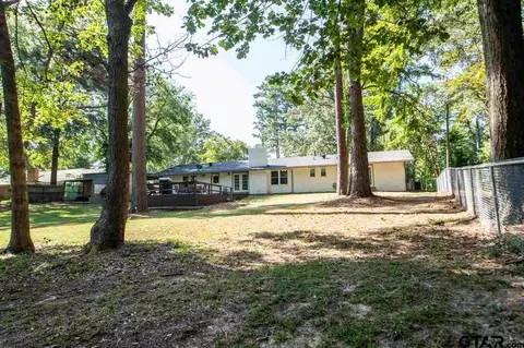 505 Lance Rd, Quitman, TX 75783 photo 28