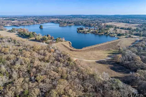7725 E Lake Dr, Murchison, TX 75778 photo 19
