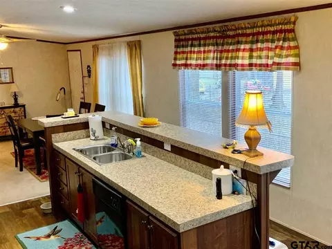 861 Comanche, Quitman, TX 75783 photo 9