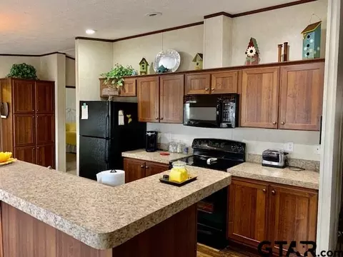 861 Comanche, Quitman, TX 75783 photo 10