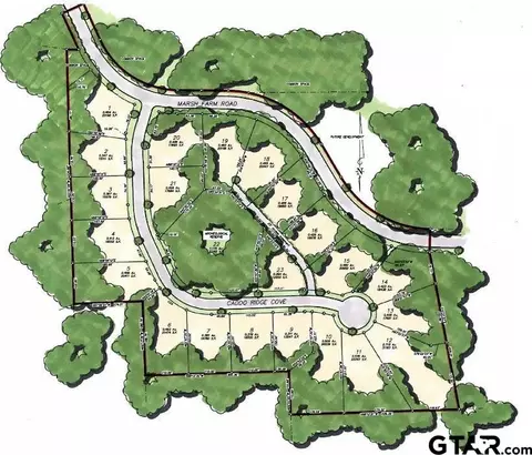 9254 Caddo Ridge Cv #LOT 20, Tyler, TX 75703