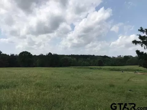5341 Cr 385, Tyler, TX 75708 photo 36