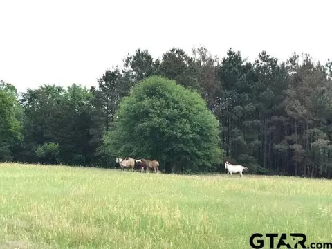 5341 Cr 385, Tyler, TX 75708 photo 37