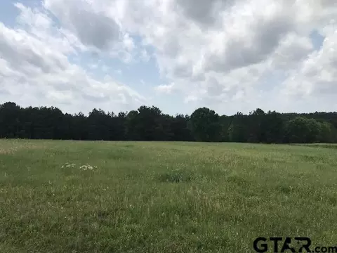 5341 Cr 385, Tyler, TX 75708 photo 35