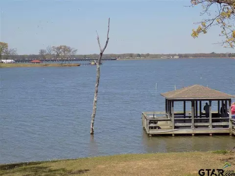 607 Concho, Quitman, TX 75783 photo 30