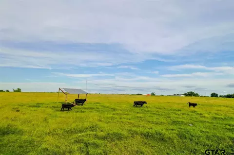 4083 Cr 4509, Commerce, TX 75428 photo 39