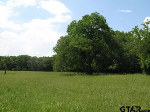 tbd County Rd 1111, Grand Saline, TX 75140