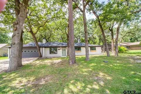 404 Hideaway Ln E, Hideaway, TX 75771 photo 3