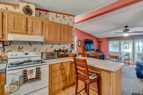 7370 E Panarama, Frankston, TX 75763 photo 8