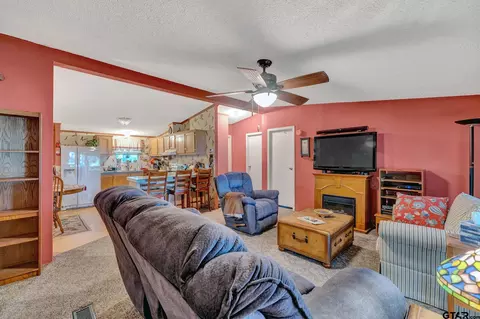 7370 E Panarama, Frankston, TX 75763 photo 10