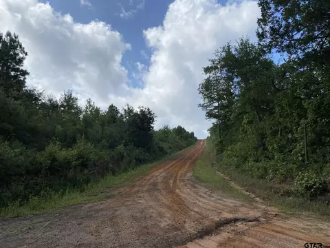 tbd County Road 394, Tatum, TX 75691
