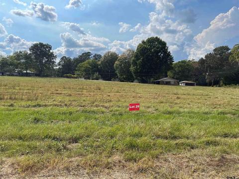 tbd Lot 29 Cr 2204d Fm 1797, Tatum, TX 75691