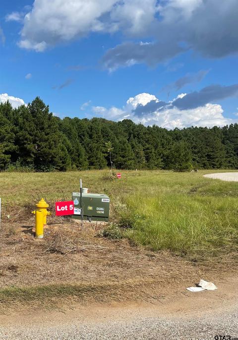 tbd Lot 5 Cr 2204 D Fm 1797, Tatum, TX 75691