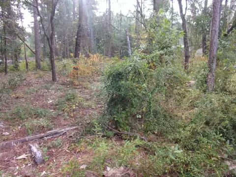 240 244 Pine Rdg, Murchison, TX 75778 photo 4