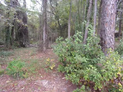 240 244 Pine Rdg, Murchison, TX 75778 photo 5