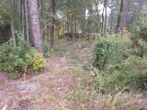 240 244 Pine Rdg, Murchison, TX 75778 photo 2