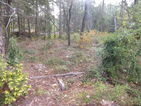 240 244 Pine Rdg, Murchison, TX 75778 photo 3
