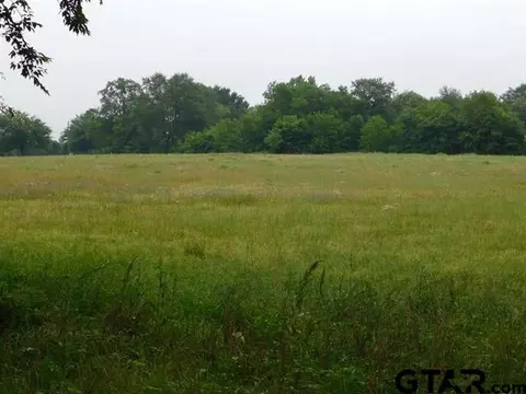 tbd W Zella Ln, Gilmer, TX 75644