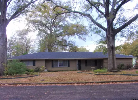 22 Rambling Rd, Longview, TX 75604 photo 1