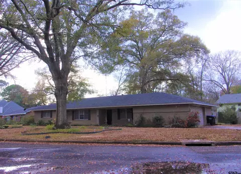 22 Rambling Rd, Longview, TX 75604 photo 23