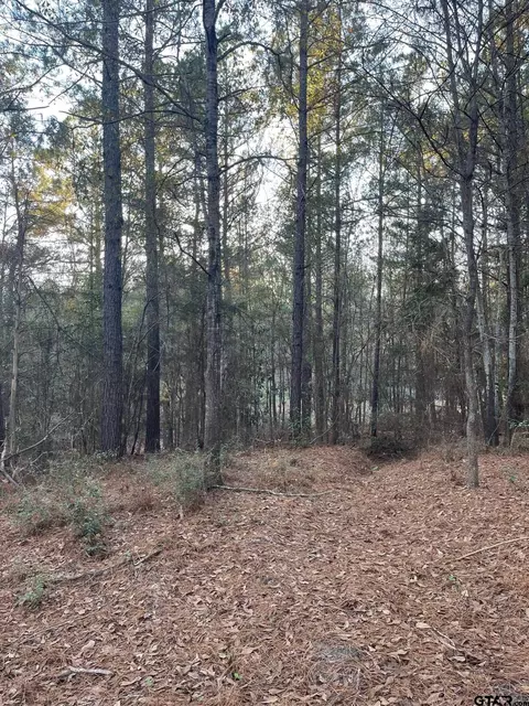 501 E Crews, Overton, TX 75684 photo 47