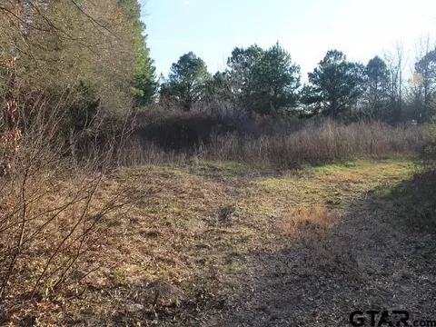 tbd Hyacinth Rd, Gilmer, TX 75645 photo 1