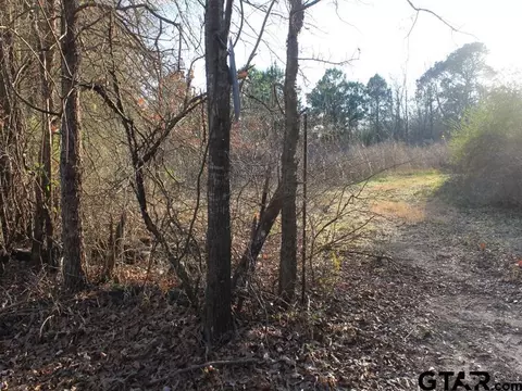 tbd Hyacinth Rd, Gilmer, TX 75645 photo 6