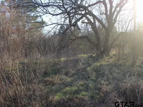 tbd Hyacinth Rd, Gilmer, TX 75645 photo 5