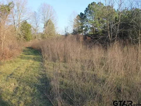 tbd Hyacinth Rd, Gilmer, TX 75645 photo 2