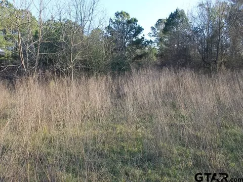 tbd Hyacinth Rd, Gilmer, TX 75645 photo 4