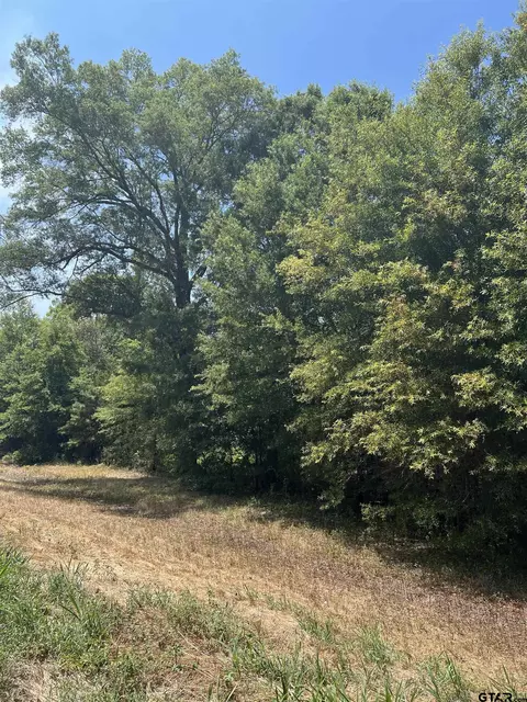 tbd Fm 3042, Pittsburg, TX 75686