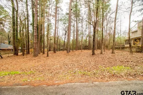 1650 Pineview, Hideaway, TX 75771 photo 4