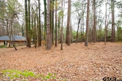 1650 Pineview, Hideaway, TX 75771 photo 3