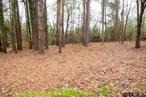 1650 Pineview, Hideaway, TX 75771 photo 1
