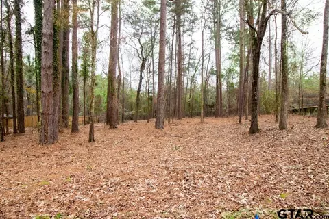 1650 Pineview, Hideaway, TX 75771 photo 2