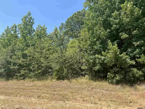 tbd Fm 3042, Pittsburg, TX 75686