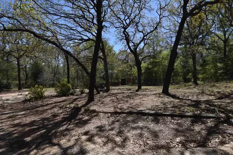 17452 Pine Dr, Lindale, TX 75771 photo 3