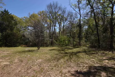 17452 Pine Dr, Lindale, TX 75771 photo 9