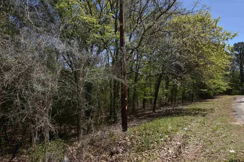17452 Pine Dr, Lindale, TX 75771 photo 16