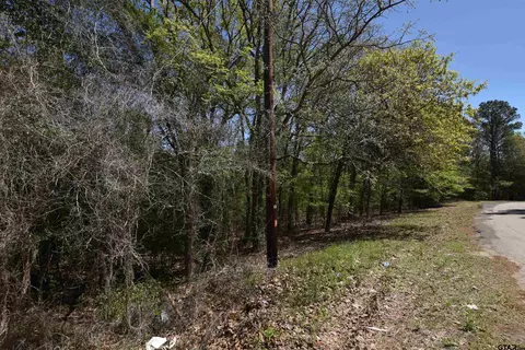 17452 Pine Dr, Lindale, TX 75771 photo 15